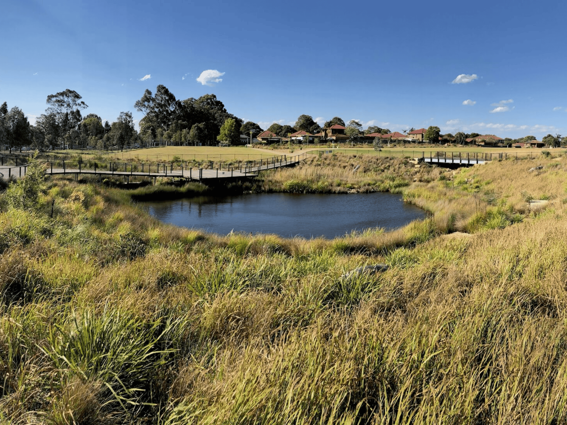 Wangal Wetlands