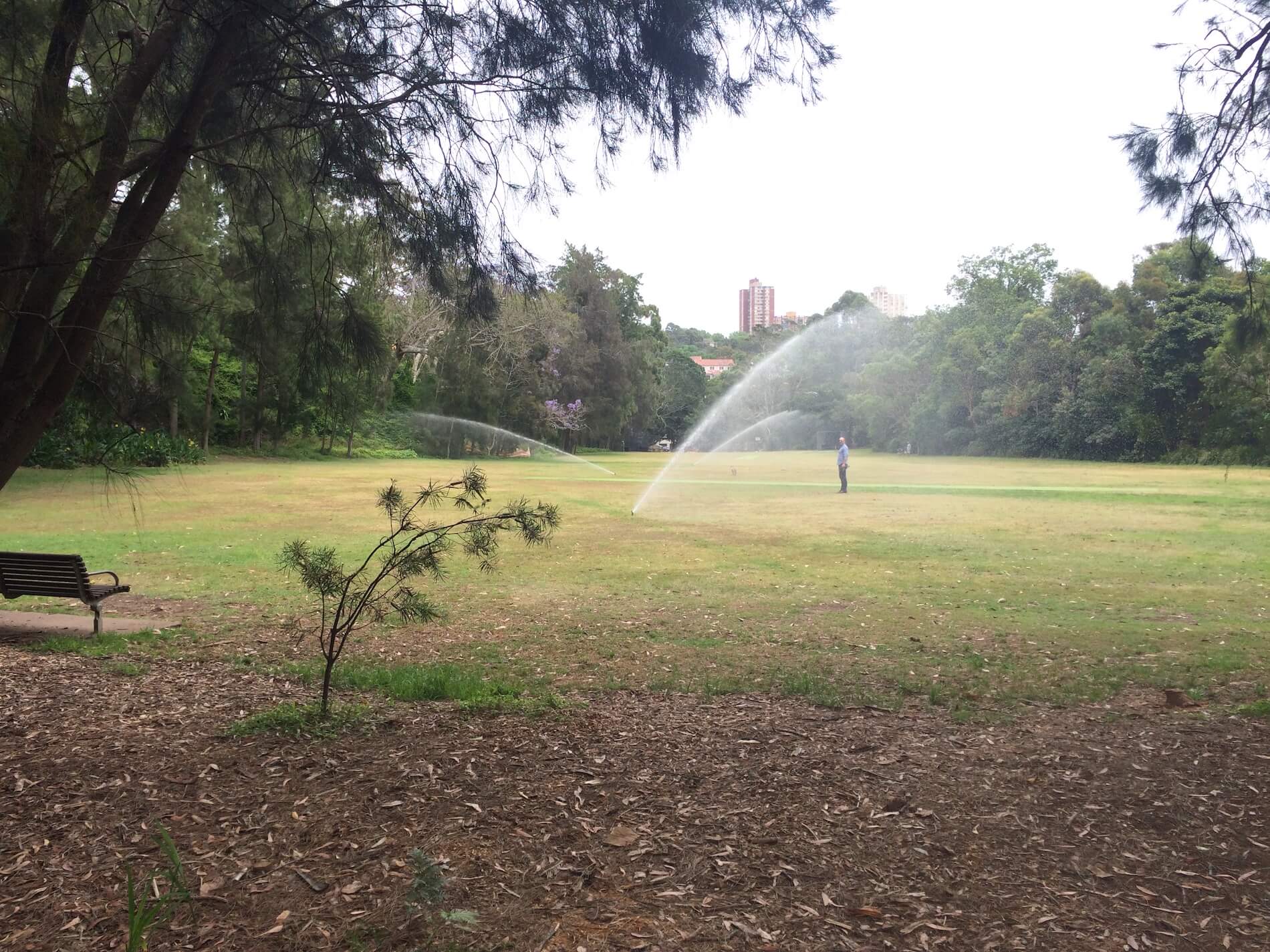 cooper park irrigation
