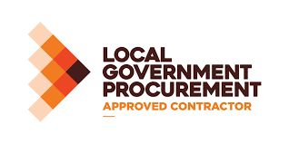 local goverment